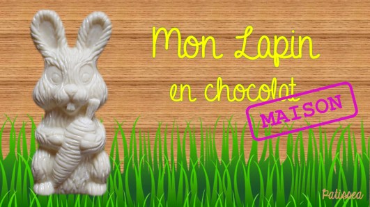 moulage-LAPIN-BLOG